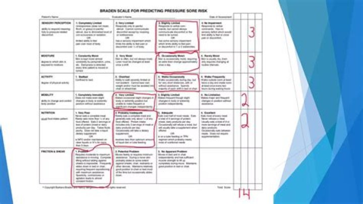 Who is Braden Holtby Dating Now?