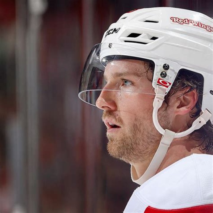 Who is Darren Helm Dating Now