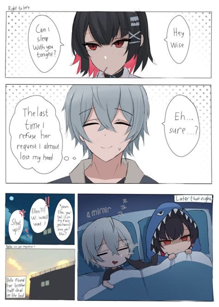 Who is Ellen Sheidlin Dating Now?