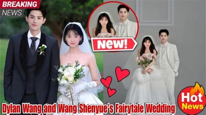 Who is Emily Wang Dating Now