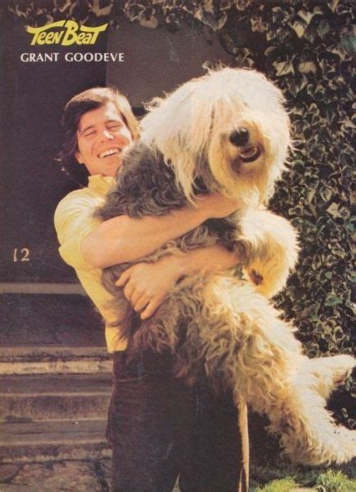 Who is Grant Goodeve Dating Now