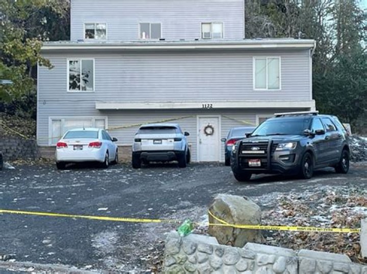 Who is Jona Bechtolt Dating Now?