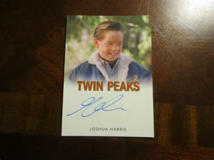 Who is Joshua Harris Dating Now?