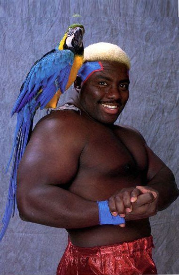 Who is Koko B. Ware Dating Now