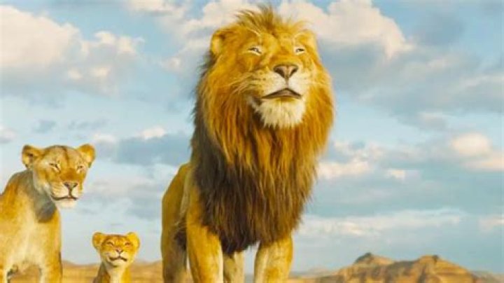 Who is Masego Dating Now