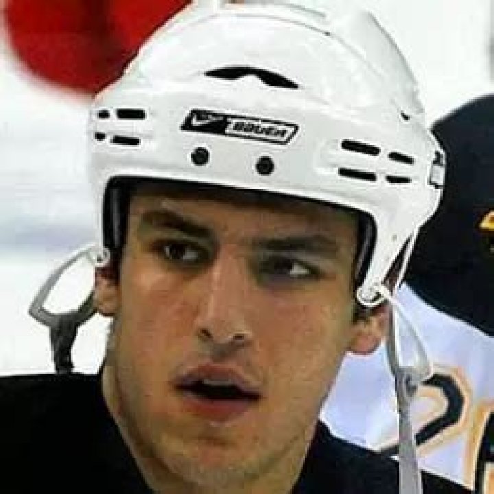 Who is Milan Lucic Dating Now