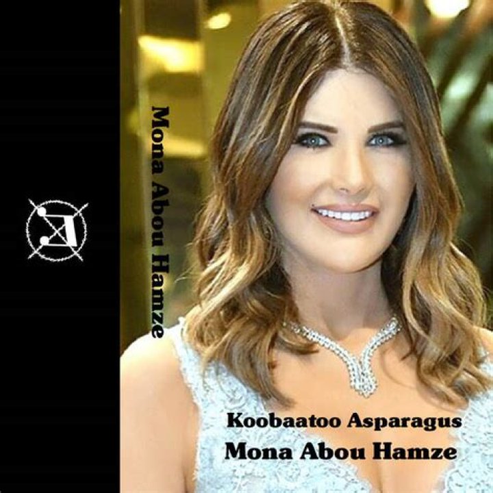 Who is Mona Abou Hamze Dating Now