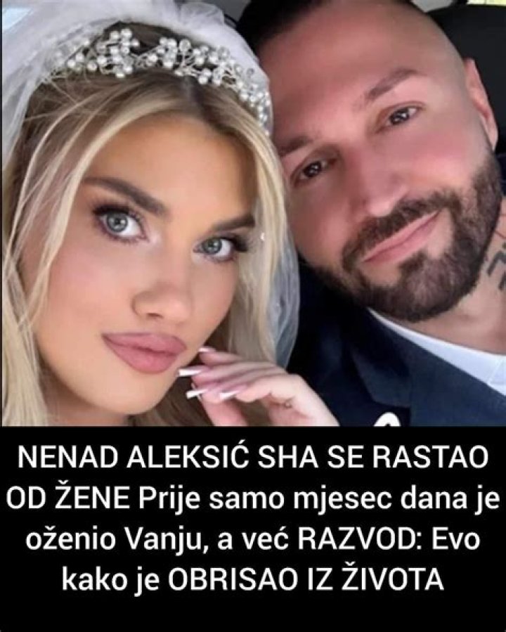 Who is Nenad Aleksic Sha Dating Now?
