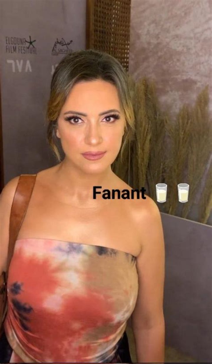 Who is Reham Abdel Ghafour Dating Now