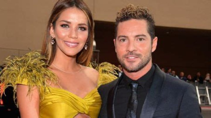 Who is Rosanna Zanetti Dating Now