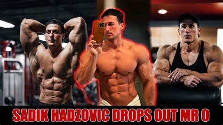 Who is Sadik Hadzovic Dating Now