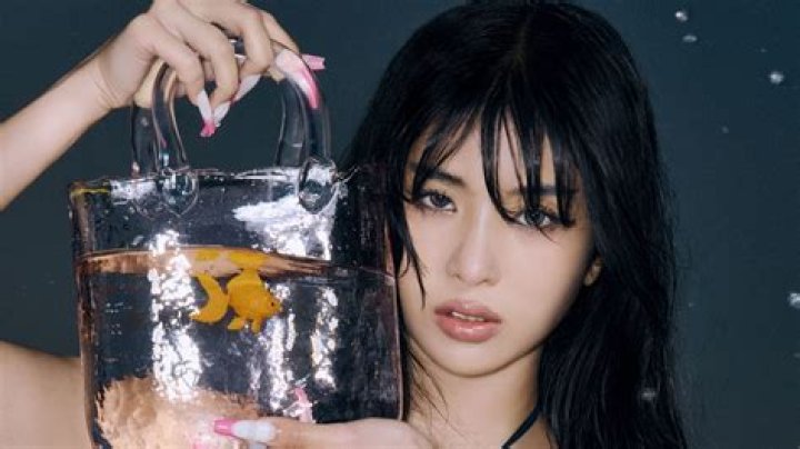 Who is Sophia A. Nelson Dating Now