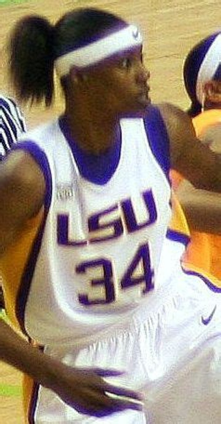 Who is Sylvia Fowles Dating Now