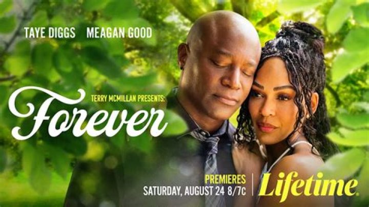 Who is Terry McMillan Dating Now