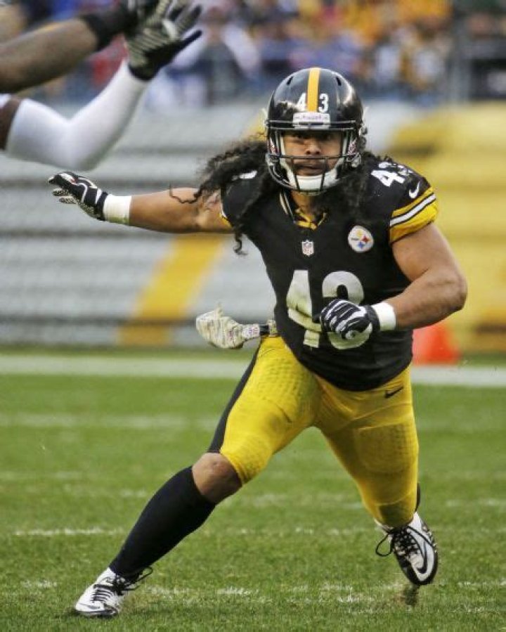 Who is Troy Polamalu Dating Now