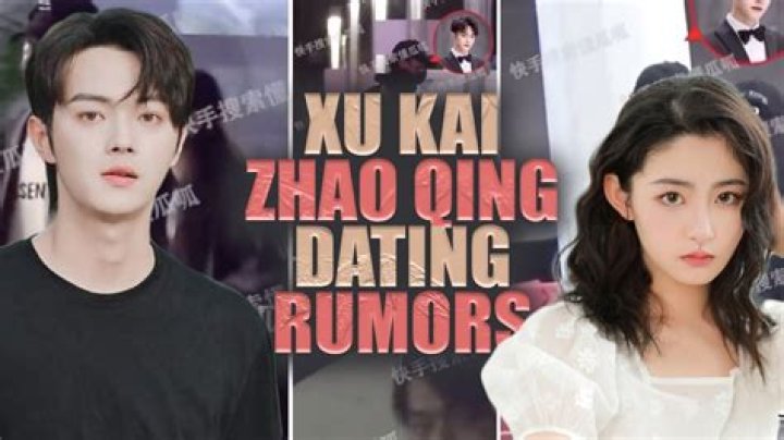 Who is Zhao Wei Dating Now?